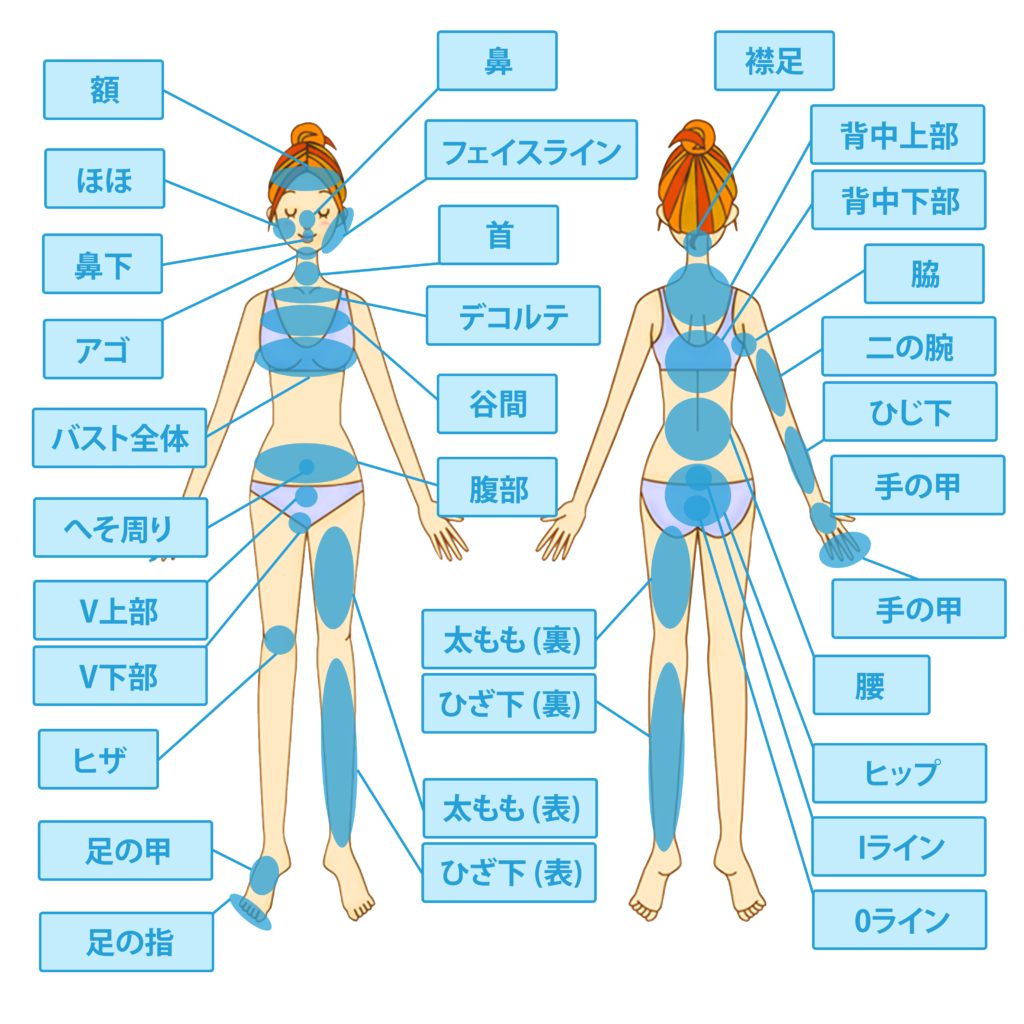 ハイスピード無痛脱毛について – 恵比寿脱毛エステサロン 徒歩3分 